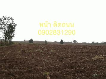 ขายที่ดินเกษตร อ.วิเชียรบุรี จ.เพชรบูรณ์ เนื้อที่ 31 ไร่ พิกัดขอบเขตเนื้อที่ดินชัดเจน